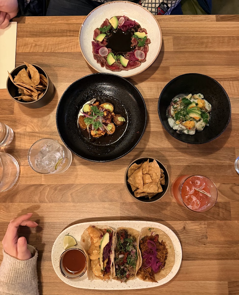 Agave Bergen Photos 2